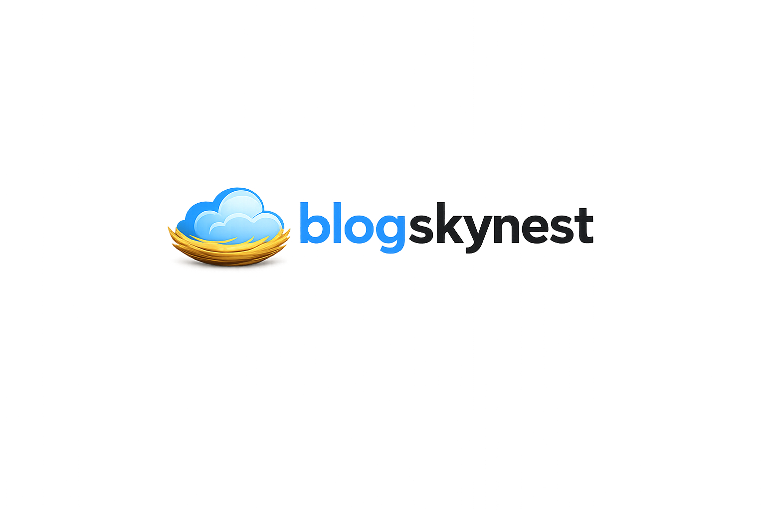 blogskynest.com